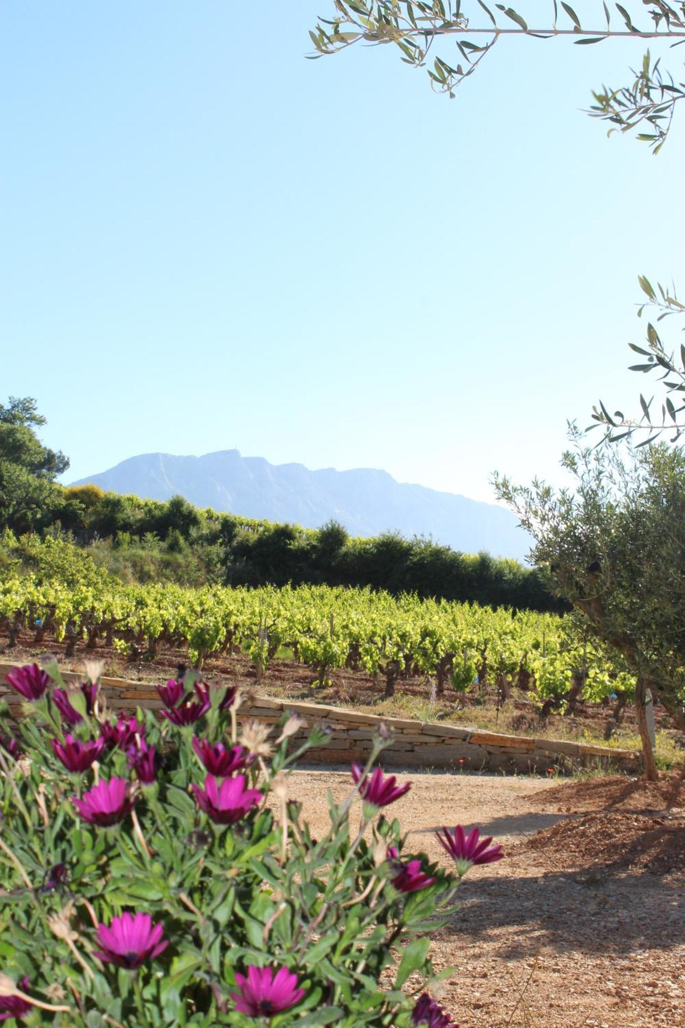 La Bastide - Le Grenache - Le Syrah Au Domaine Chateau Henri Bonnaud Le Tholonet Exterior photo
